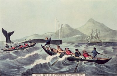 La pesca della balena 